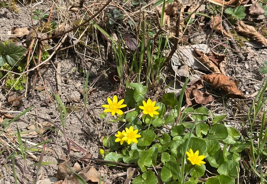 25-03-21 12-40-49 2488